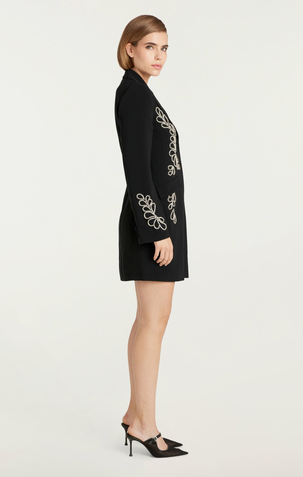 Women Rhinestone Paisley Long Sleeve Joel Dress Black