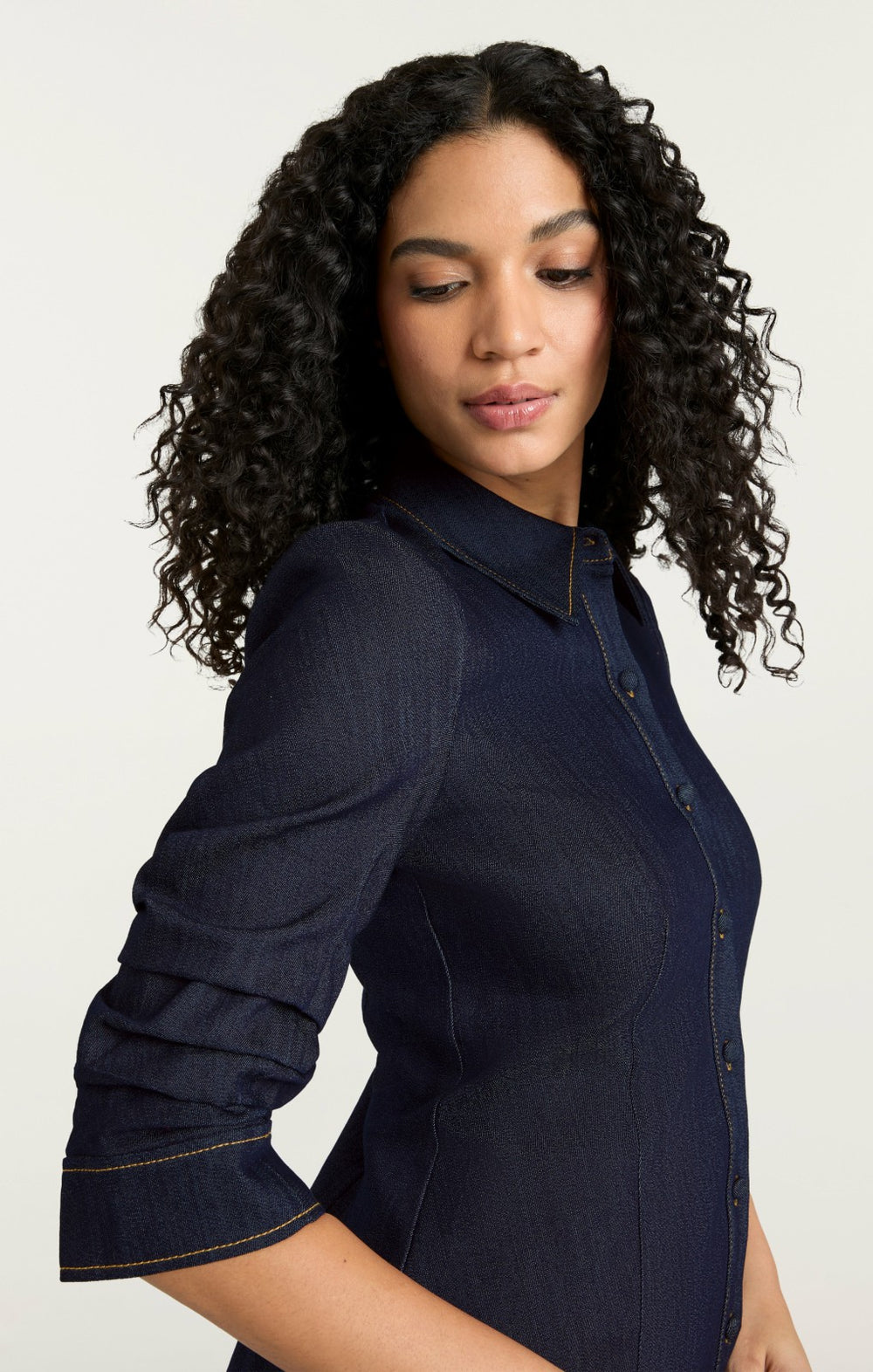 Women Indigo Denim Lucilla Dress Indigo