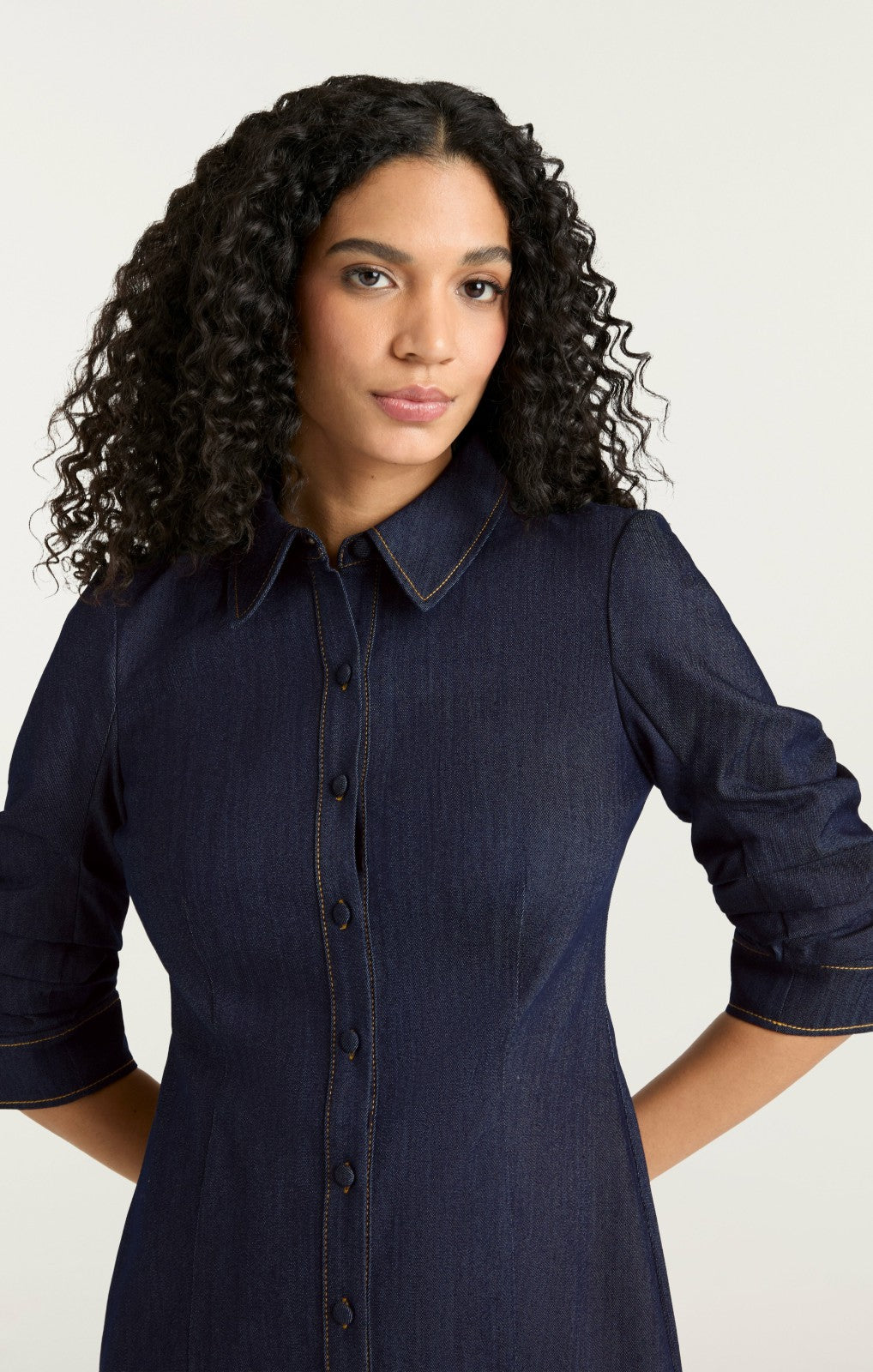Women Indigo Denim Lucilla Dress Indigo